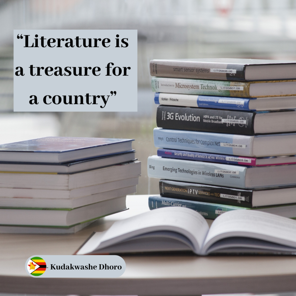 Kudakwashe Dhoro | What is Literature?